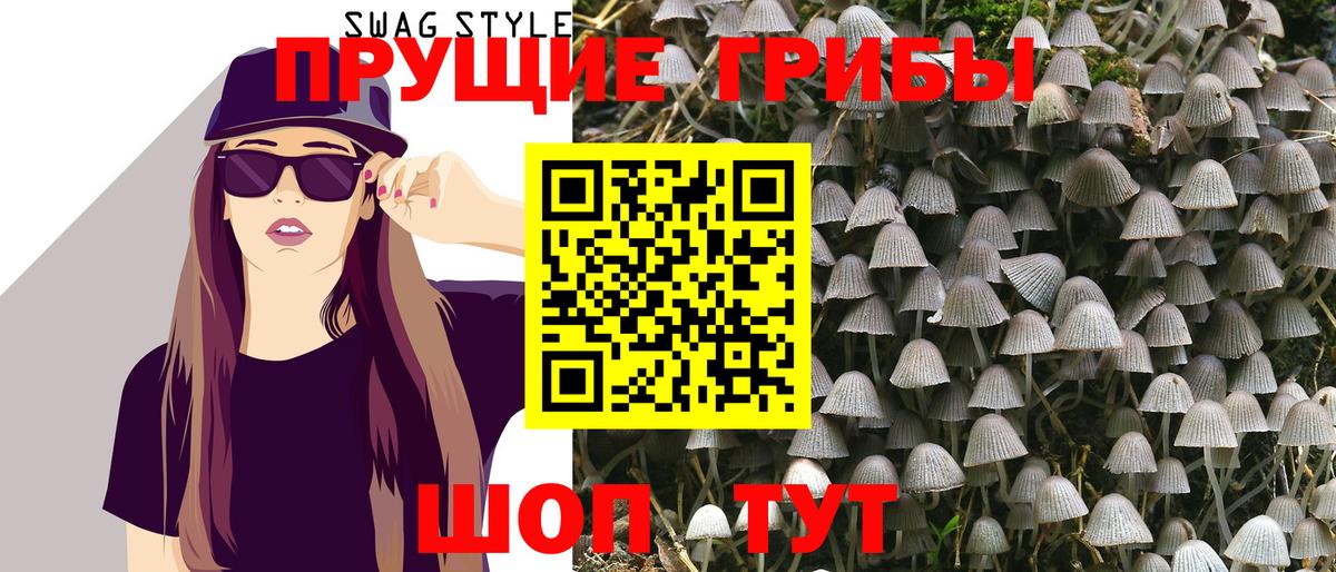 Псилоцибиновые грибы Psilocybine cubensis  Псилоцибиновые грибы прущие грибы  Избербаш 