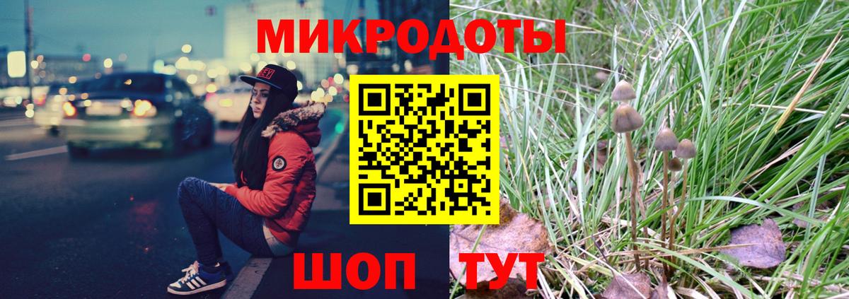 Избербаш  Галлюциногенные грибы MAGIC MUSHROOMS  Вход с VPN 