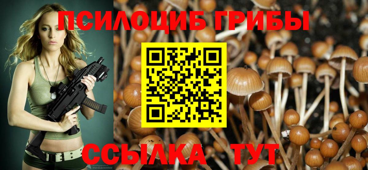 Галлюциногенные грибы Psilocybine cubensis Избербаш